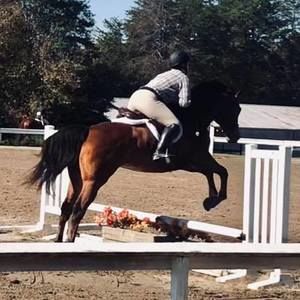 Meet your Posher, Anna